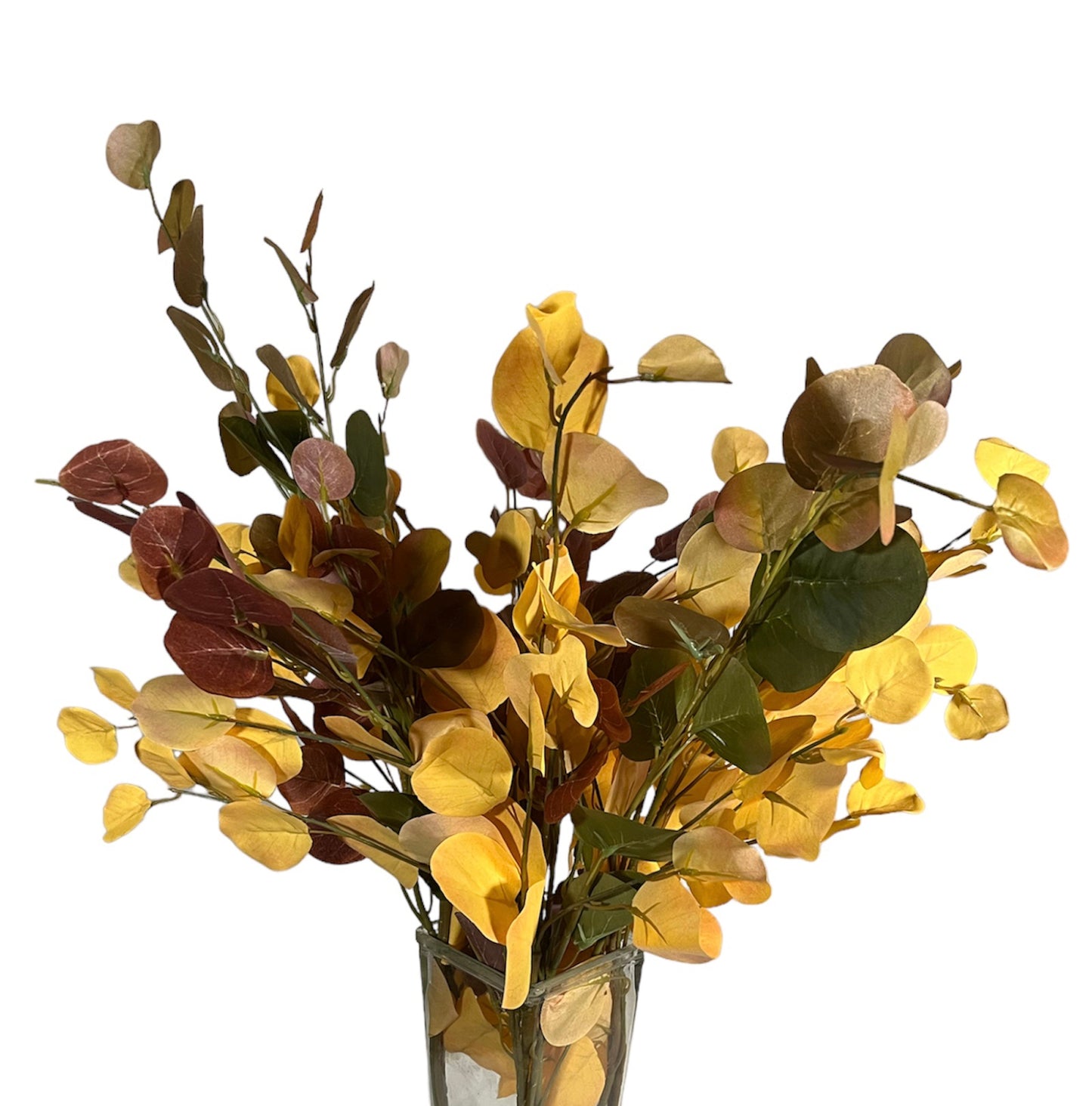 MRPlus Eucalyptus Flowers